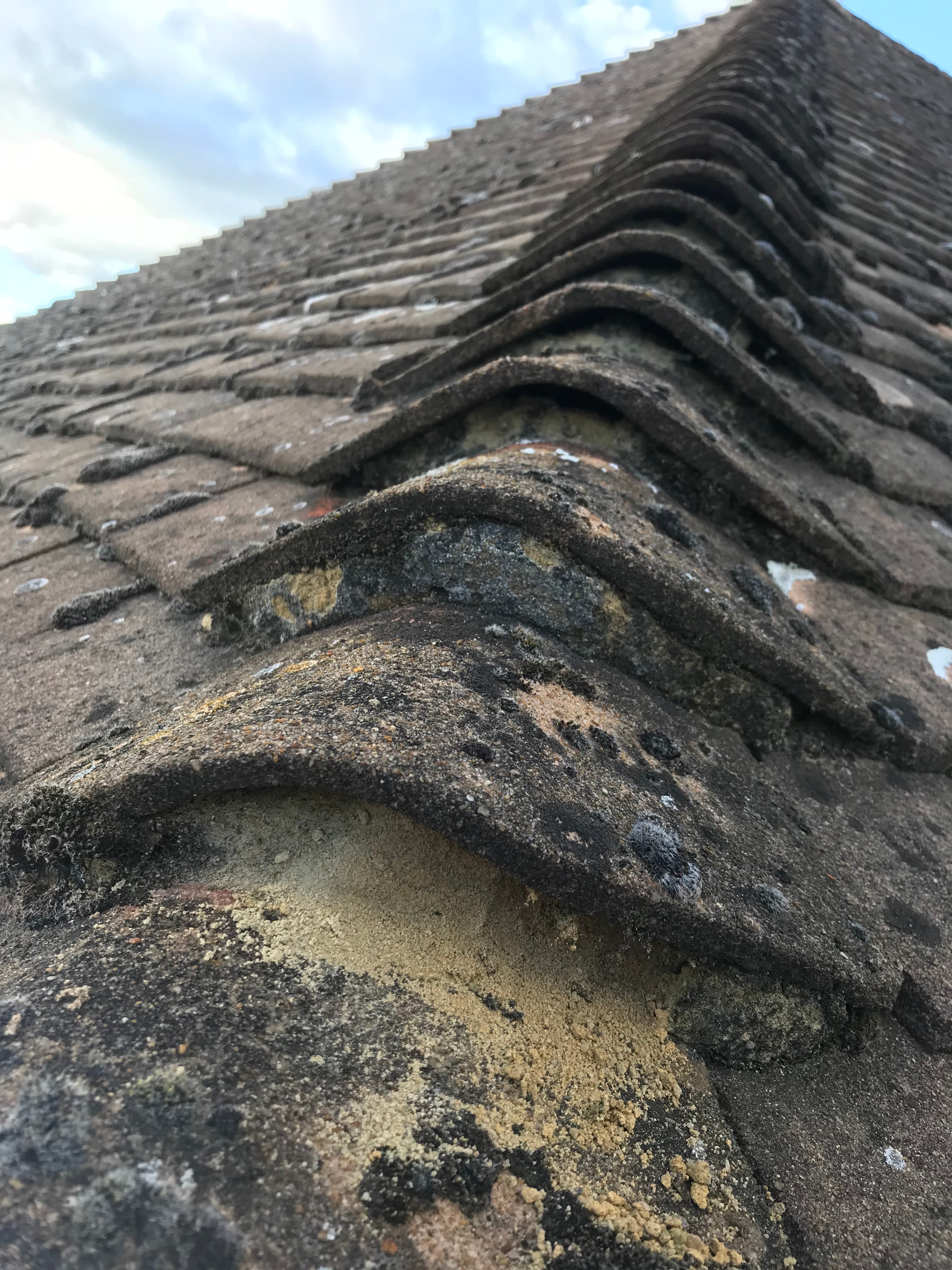 Kash Roofing project photo 32